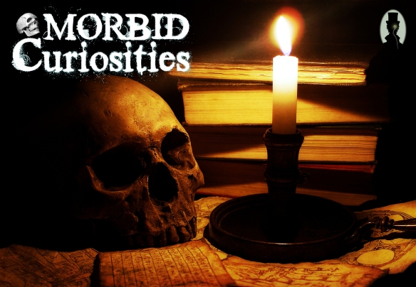skull, cellar, morbid curiosities